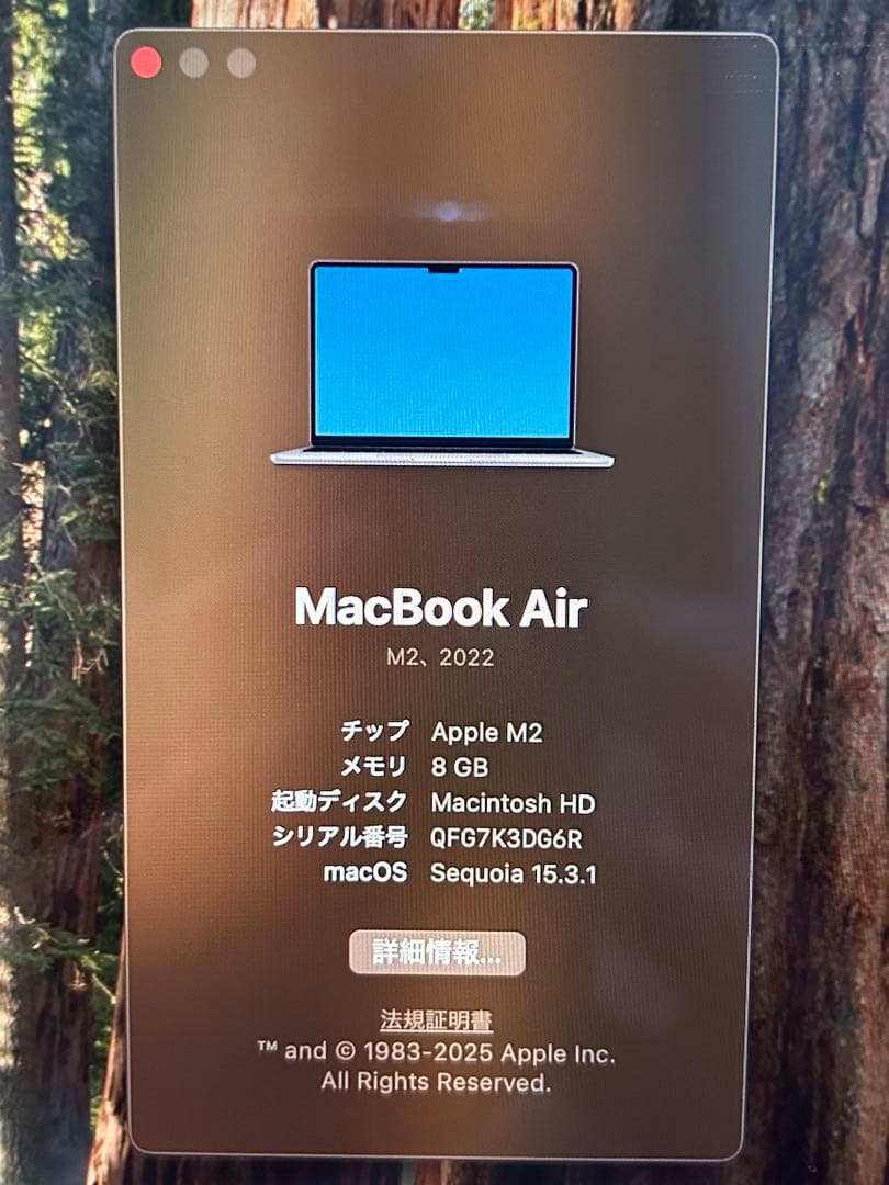 安い！超美品　Apple MacBook Air M2 (2022) 本体