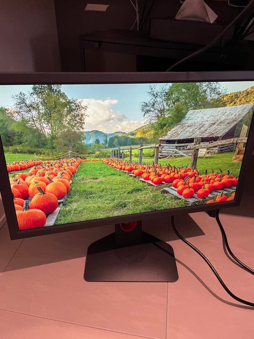 BenQ Zowieゲーミングモニター XL2411K-B