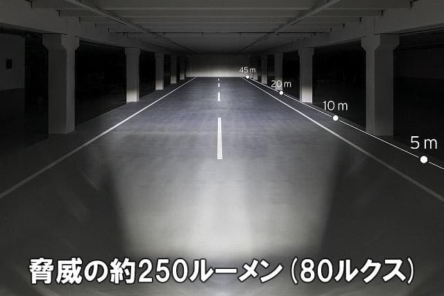 ブッシュ＆ミューラー IQ-XS ハブダイナモライト 250ルーメン 銀ドイツ製