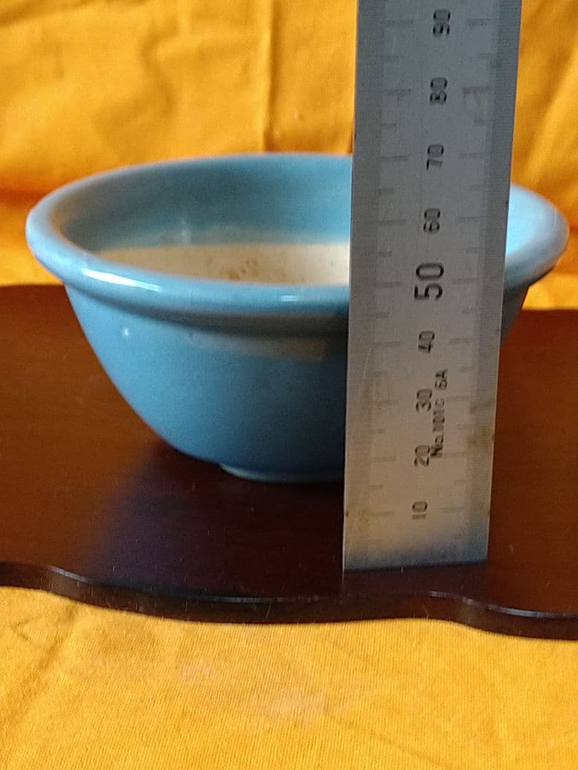 盆栽鉢　小品鉢　均窯外縁丸鉢