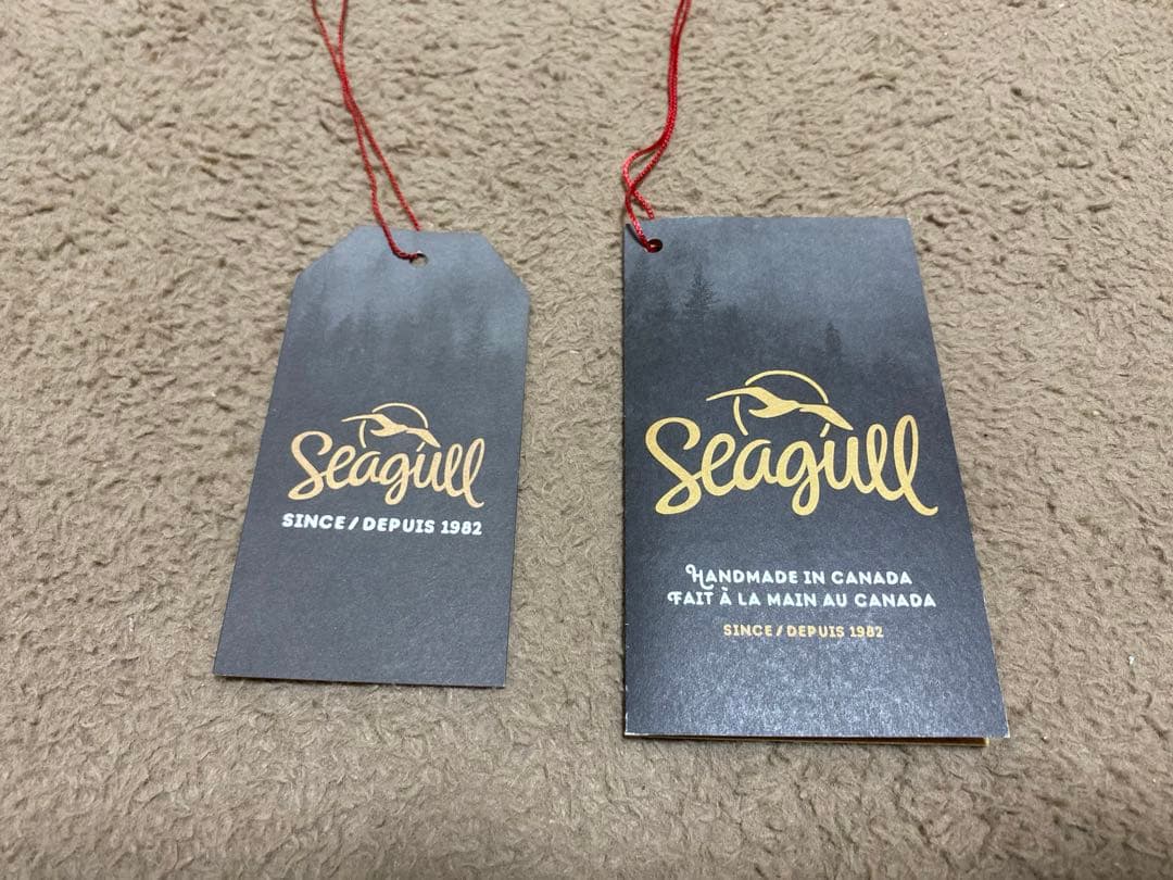 【美品】アコースティックギター　シーガル