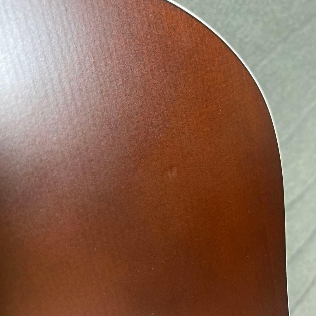 【美品】アコースティックギター　シーガル