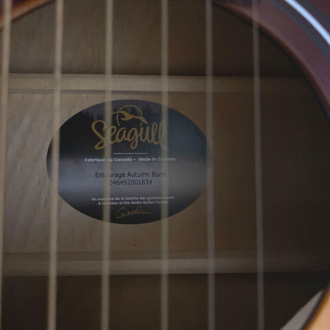 【美品】アコースティックギター　シーガル