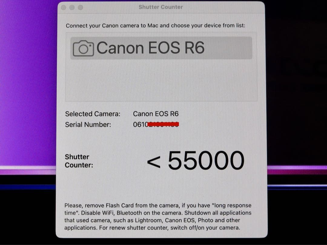 Canon EOS R6 ボディ　55000以下ショット