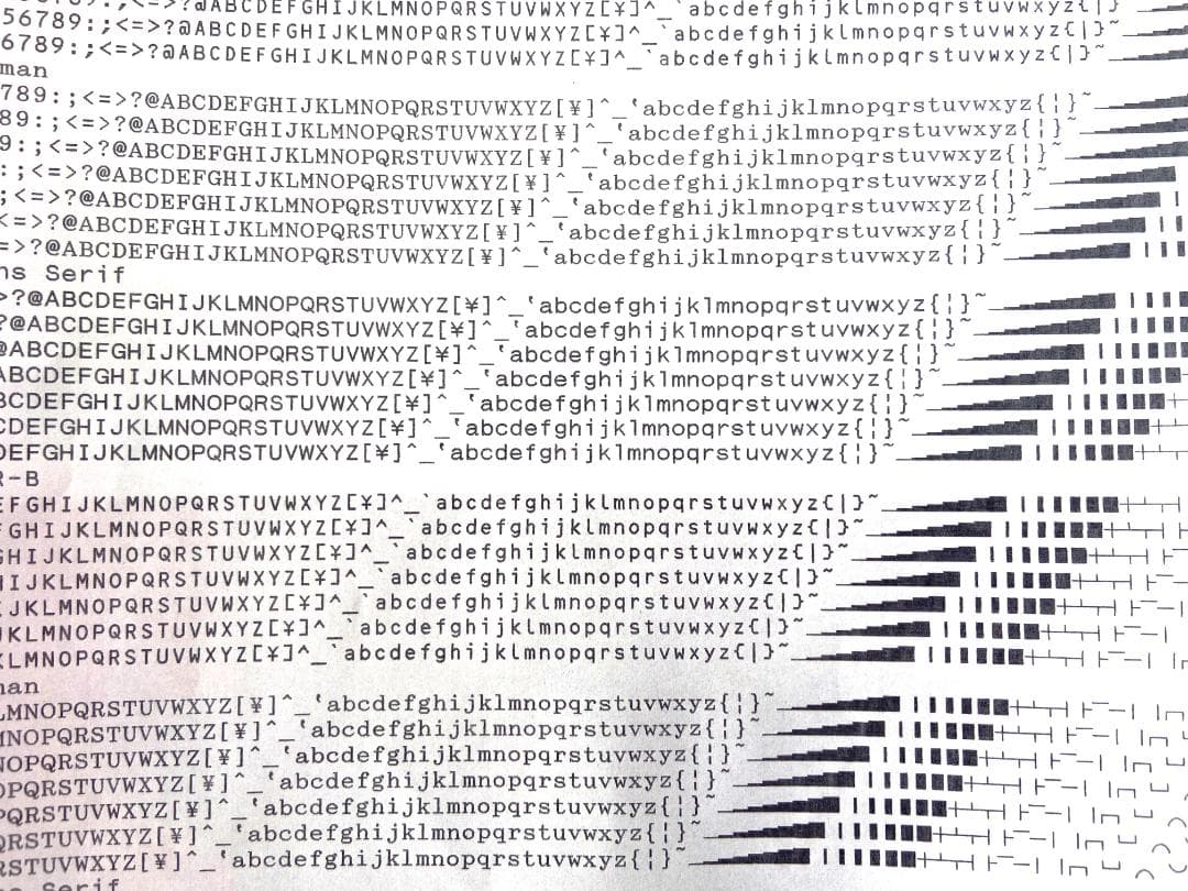 EPSON VP-F2000 ドットインパクトプリンタ 複写印刷