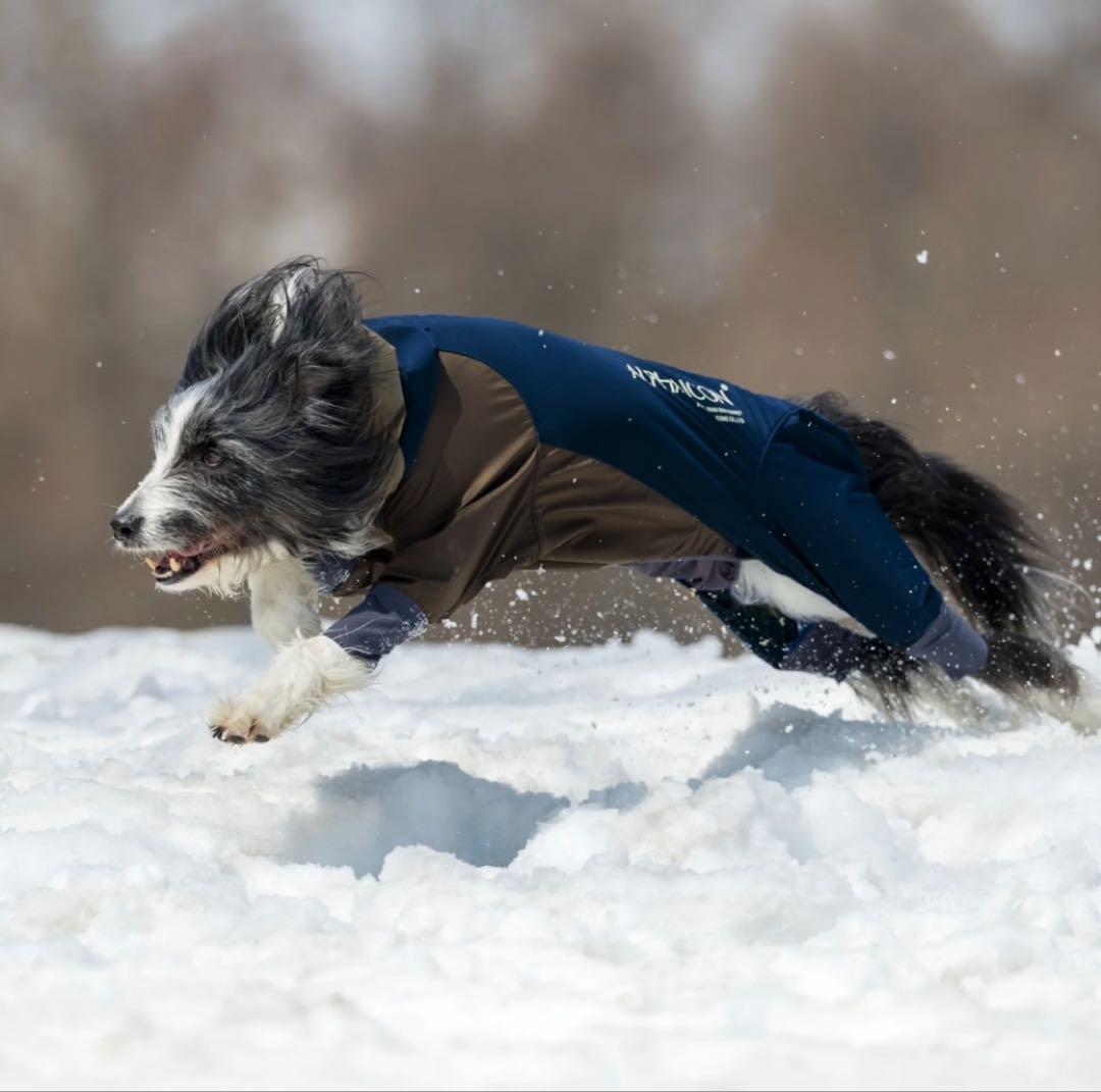 M*！様 2025新作 ALPHAICON  DOG GUARD M