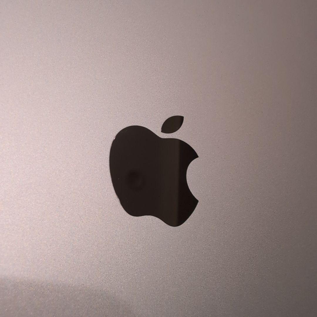 Apple iPad Air 第４世代 Pink ピンク 4th 本体