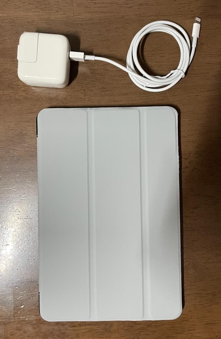 iPad mini 第5世代 256GB Wi-Fi （液晶ドット抜け有）