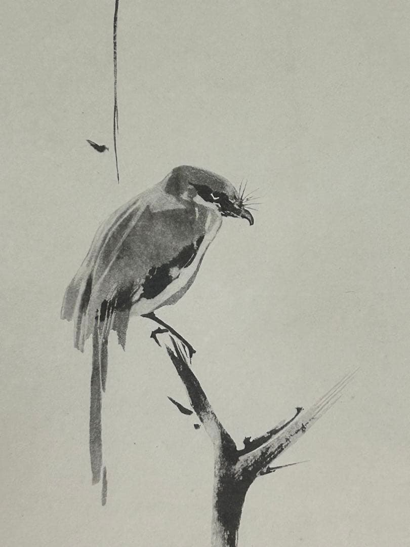 「枯木鳴鵙」　宮本武蔵　掛け軸 掛軸 共箱あり 限定1000部謹製 802番