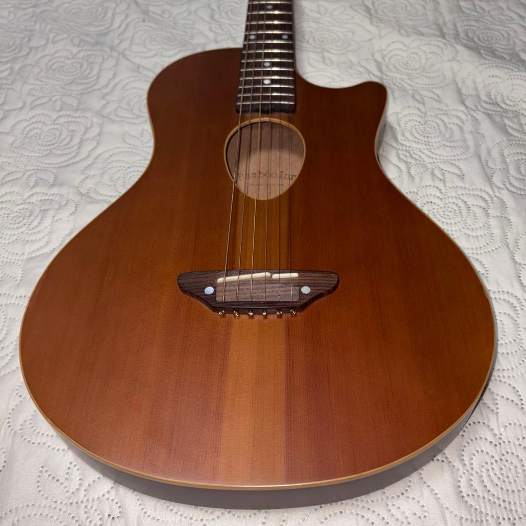 ESP Bambooinn-C アコースティックミニギター