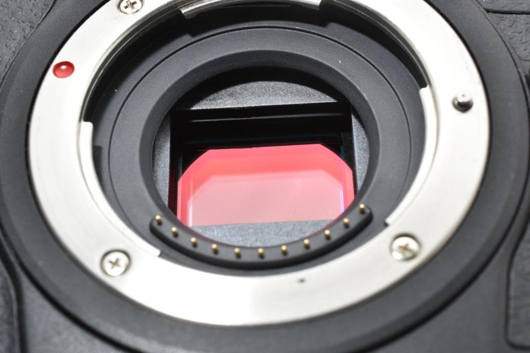 ★美品★パナソニック LUMIX DMC-G6 ボディ #21465