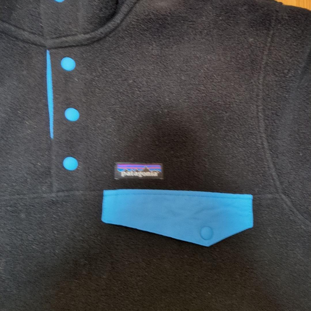 パタゴニアシンチラスナップt