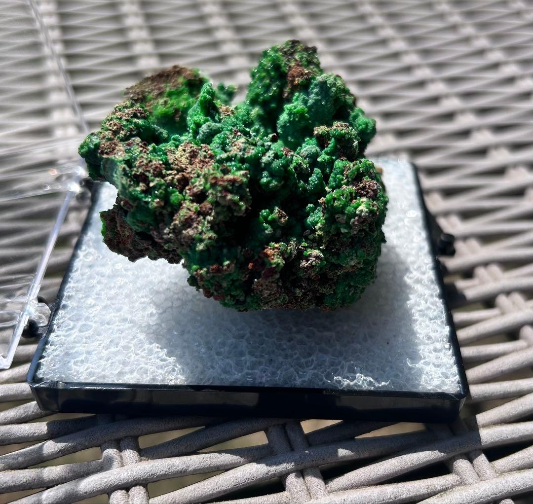 Conichalcite コニカルコ石 鉱物標本