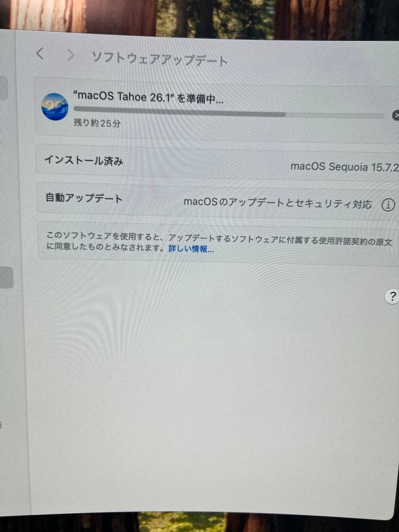 Mac mini M2Pro 32GB 1TB キーボード、マウスのセット