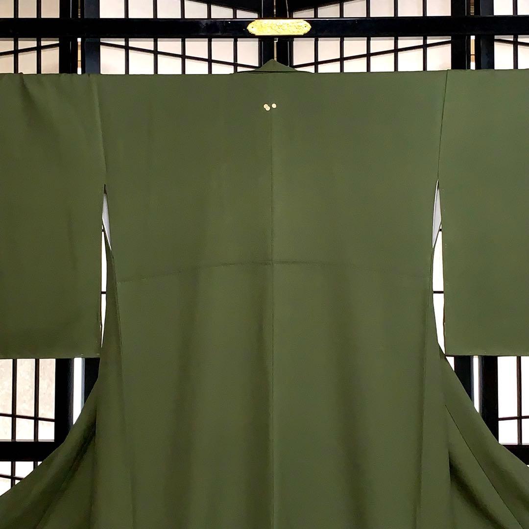 【コロ　】君島一郎　寿光織　色無地　一ツ紋　身丈172.5cm 長身で細身