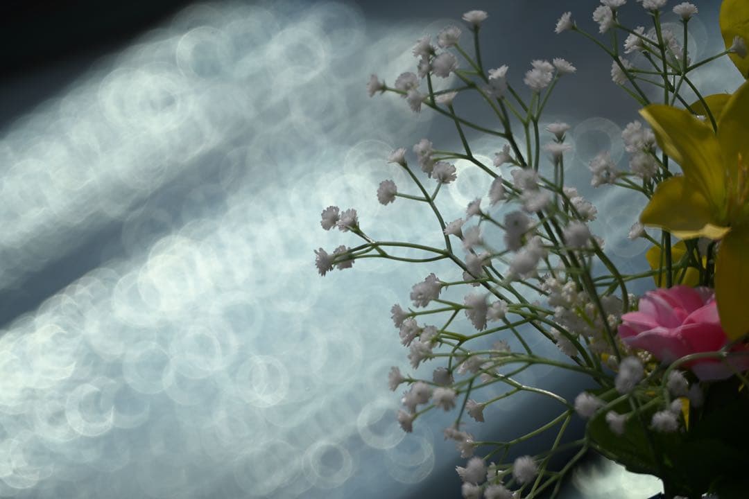 Tokina SZ 500mm F8 Reflex Nikonマウント