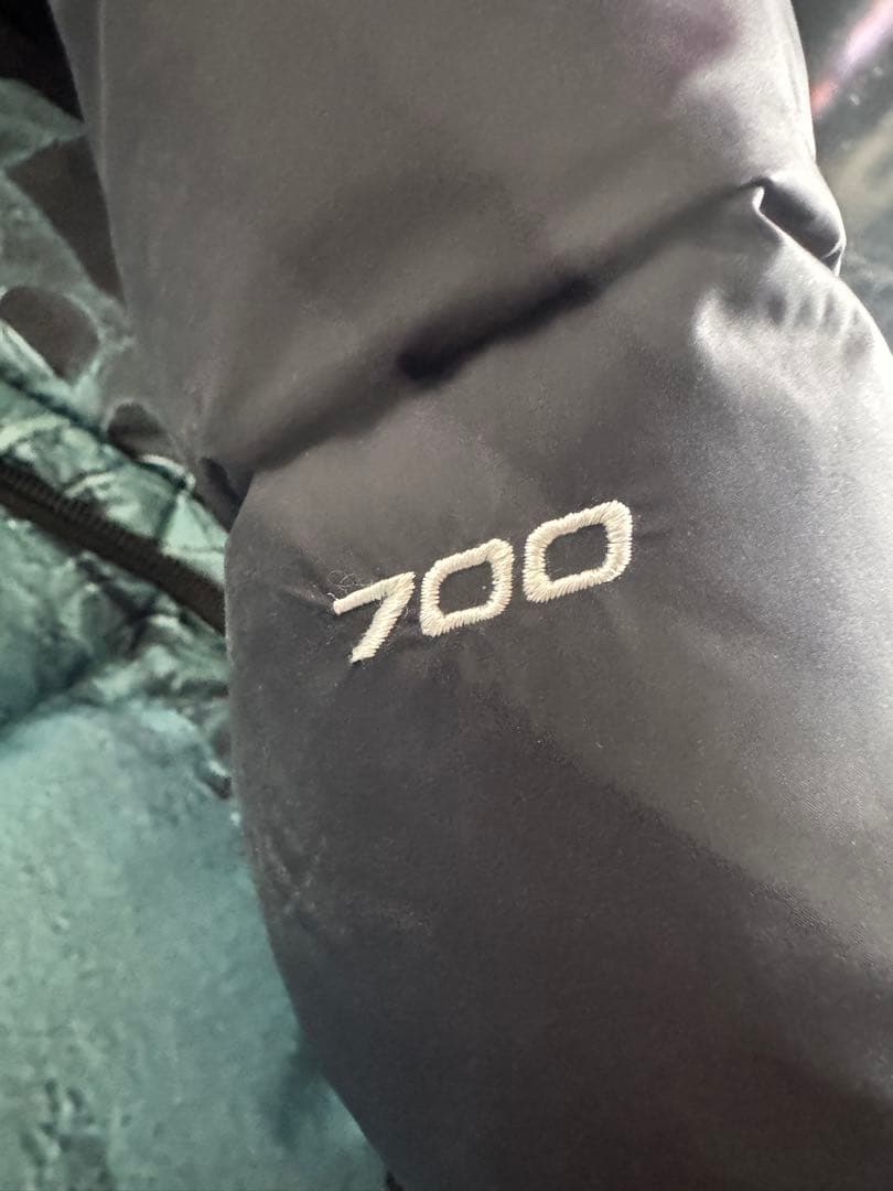 Supreme×NORTH FACE 自由の女神 バルトロライトジャケット/M