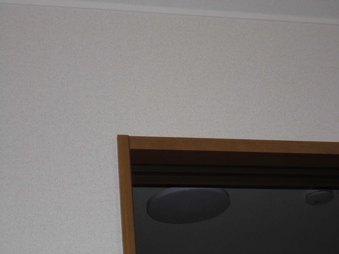 【オールドコンデジ】 CASIO EXILIM EX-ZS12