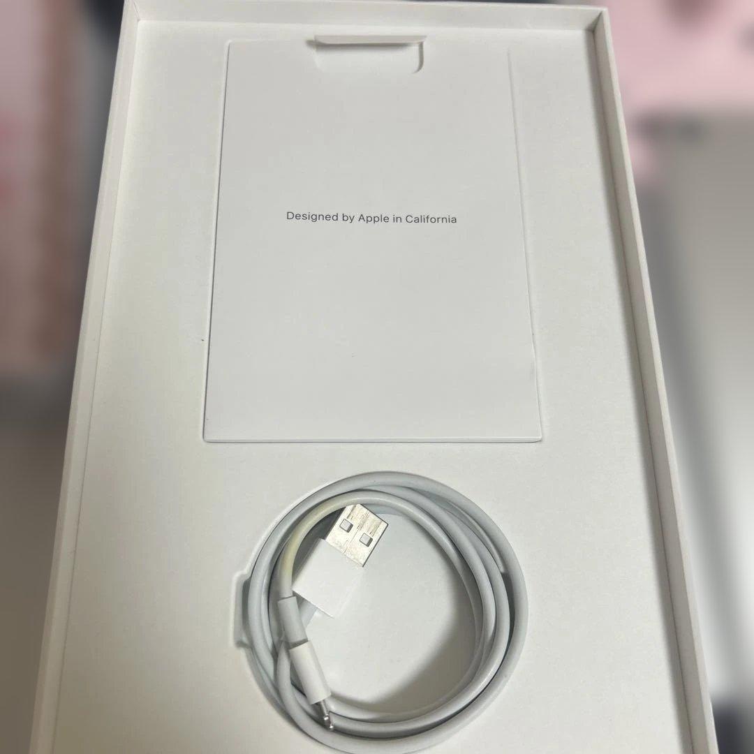 iPad mini WiFi 第5世代　64 GB A2133モデル　シルバー