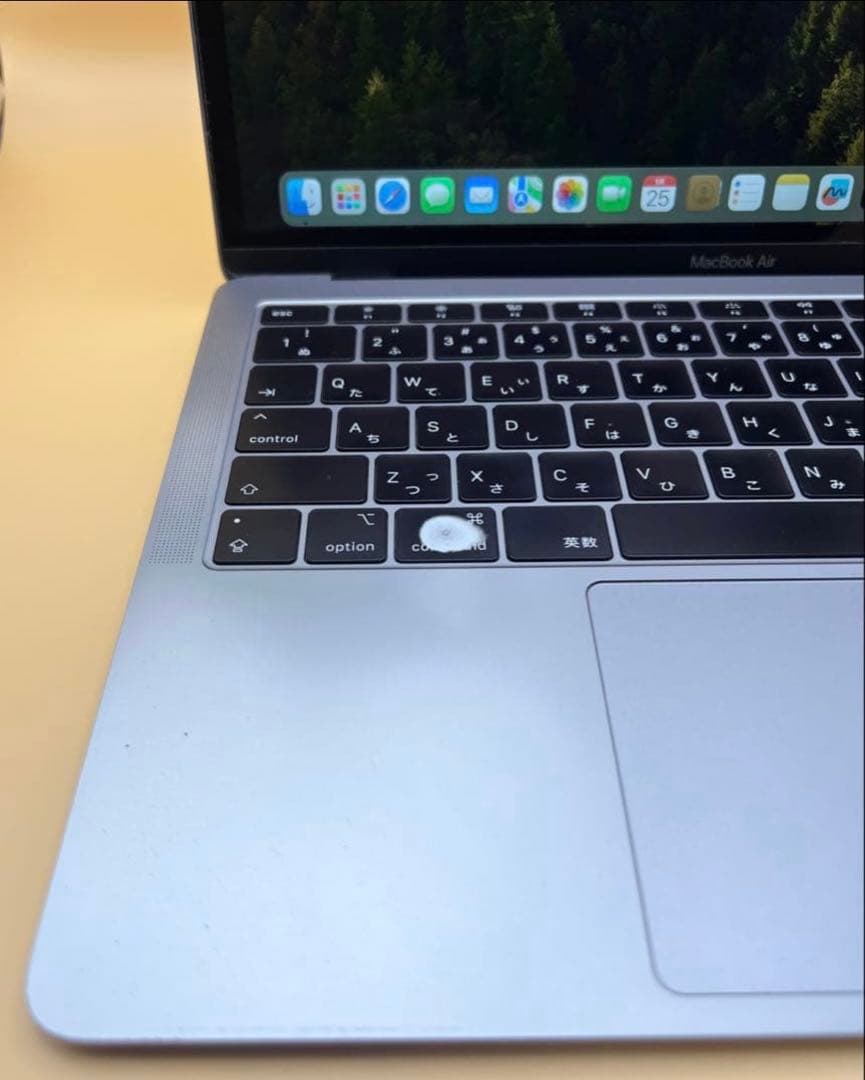 MacBook本体 MacBook Air 2019 1.6GHz/16GB/ SSD512GB