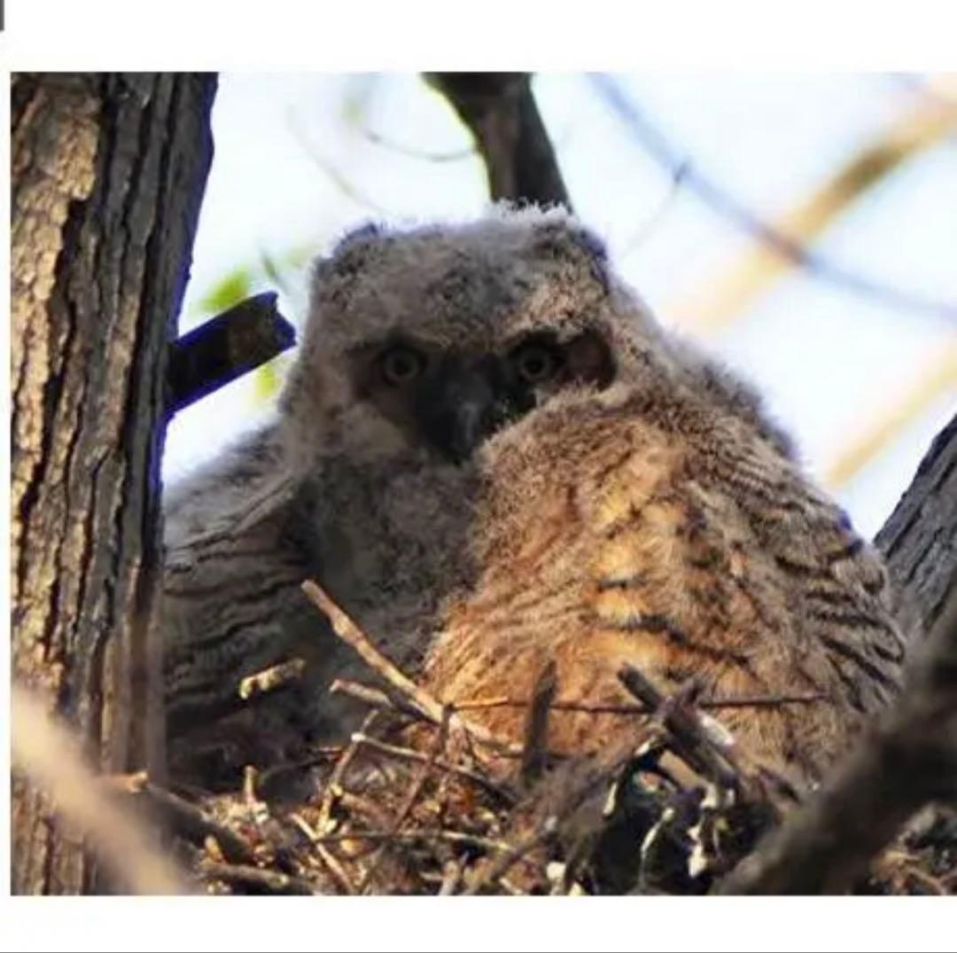 新品！Nikon一眼レフカメラ用！ズームレンズ！遠方撮影！初心者サポート！袋あり