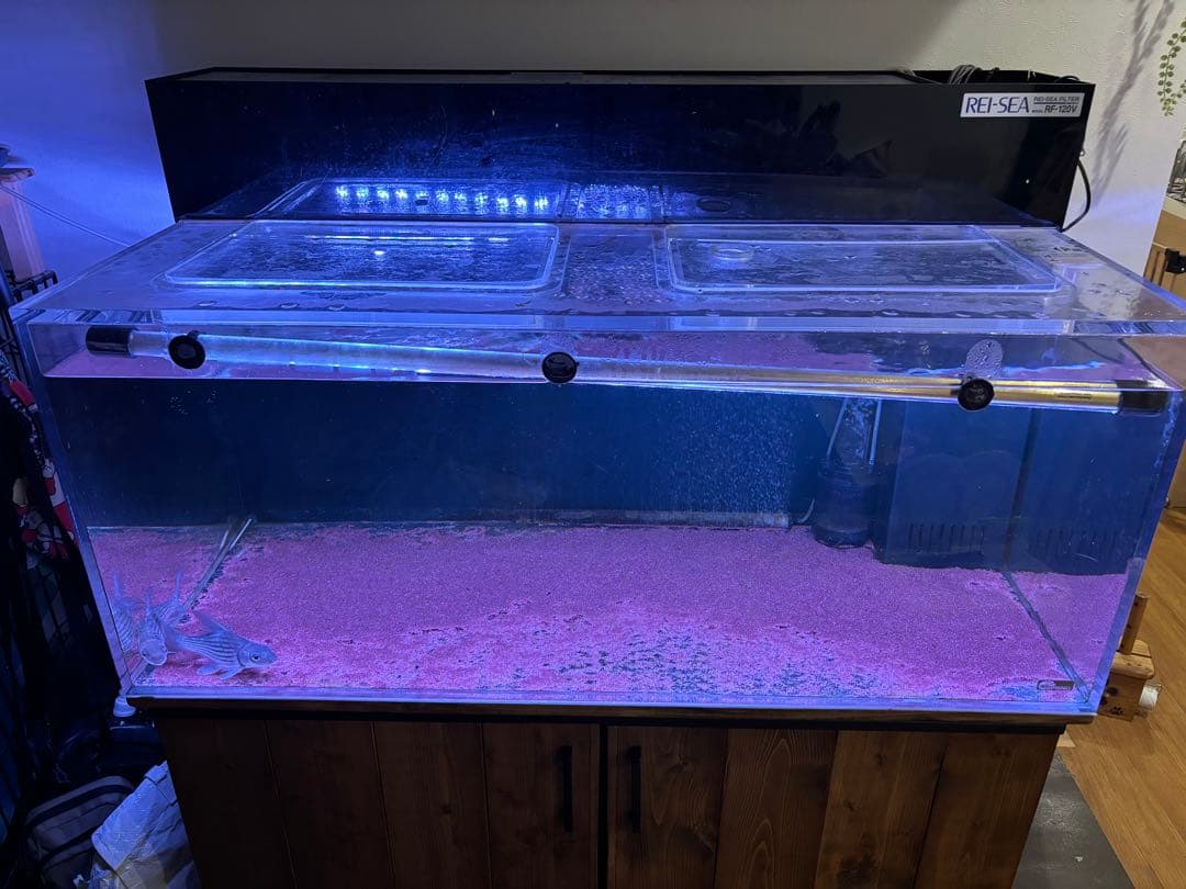 shunpi　水槽　水槽セット　1200 600 h500 神奈川　手渡し