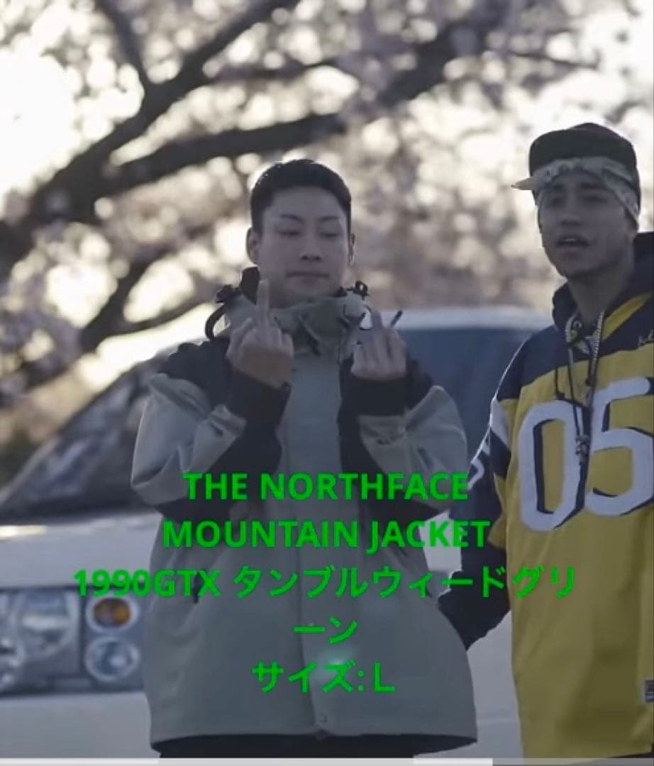 ジャケット・アウター THE NORTH FACE MOUNTAIN JACKET 1990GTX