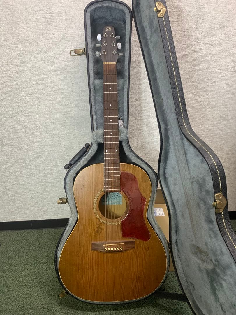 シーガル　S6＋FORK　プレイヤーズコンディション　B-25スタイル