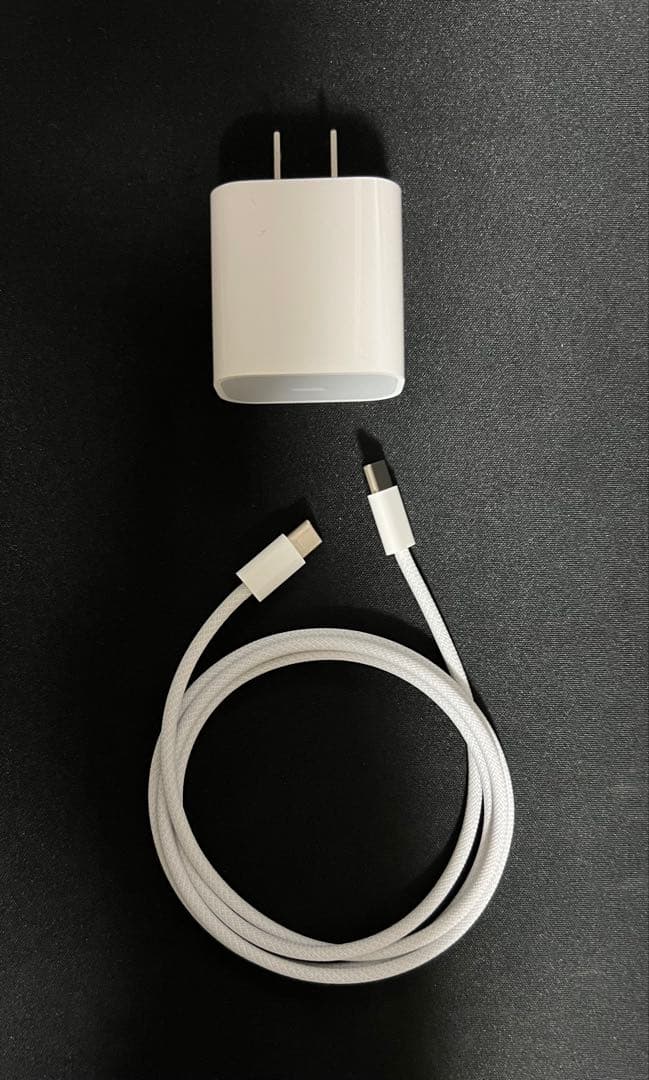 【BT100%】iPad mini (A17 pro) 128gb 本体