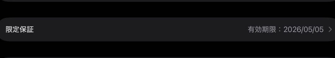 【BT100%】iPad mini (A17 pro) 128gb 本体