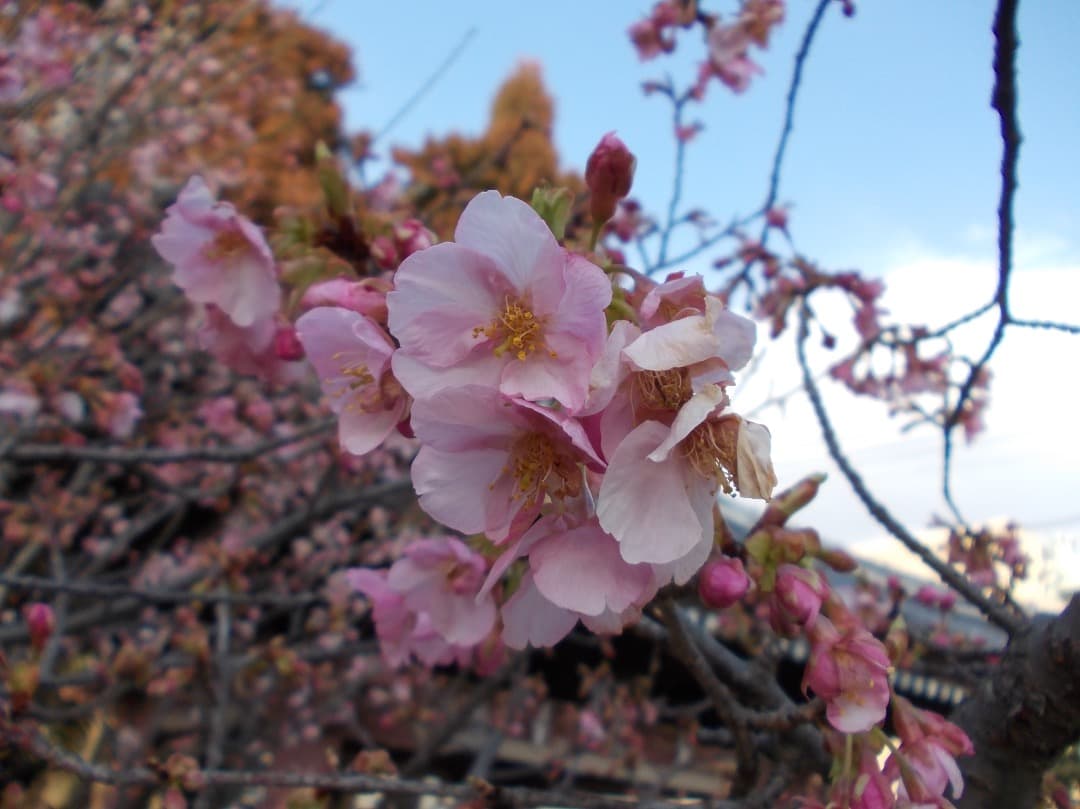 実写美⭕️【動作確認済】Nikon COOLPIX L23 シルバー