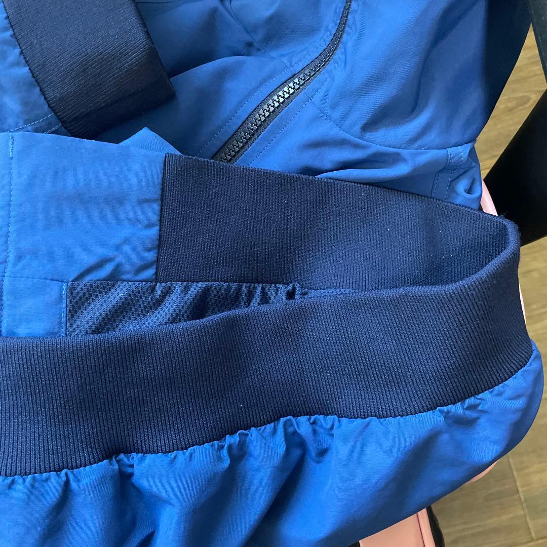 廃盤 patagonia 青 Lサイズ ナイロンジャケット バギーズジャケット