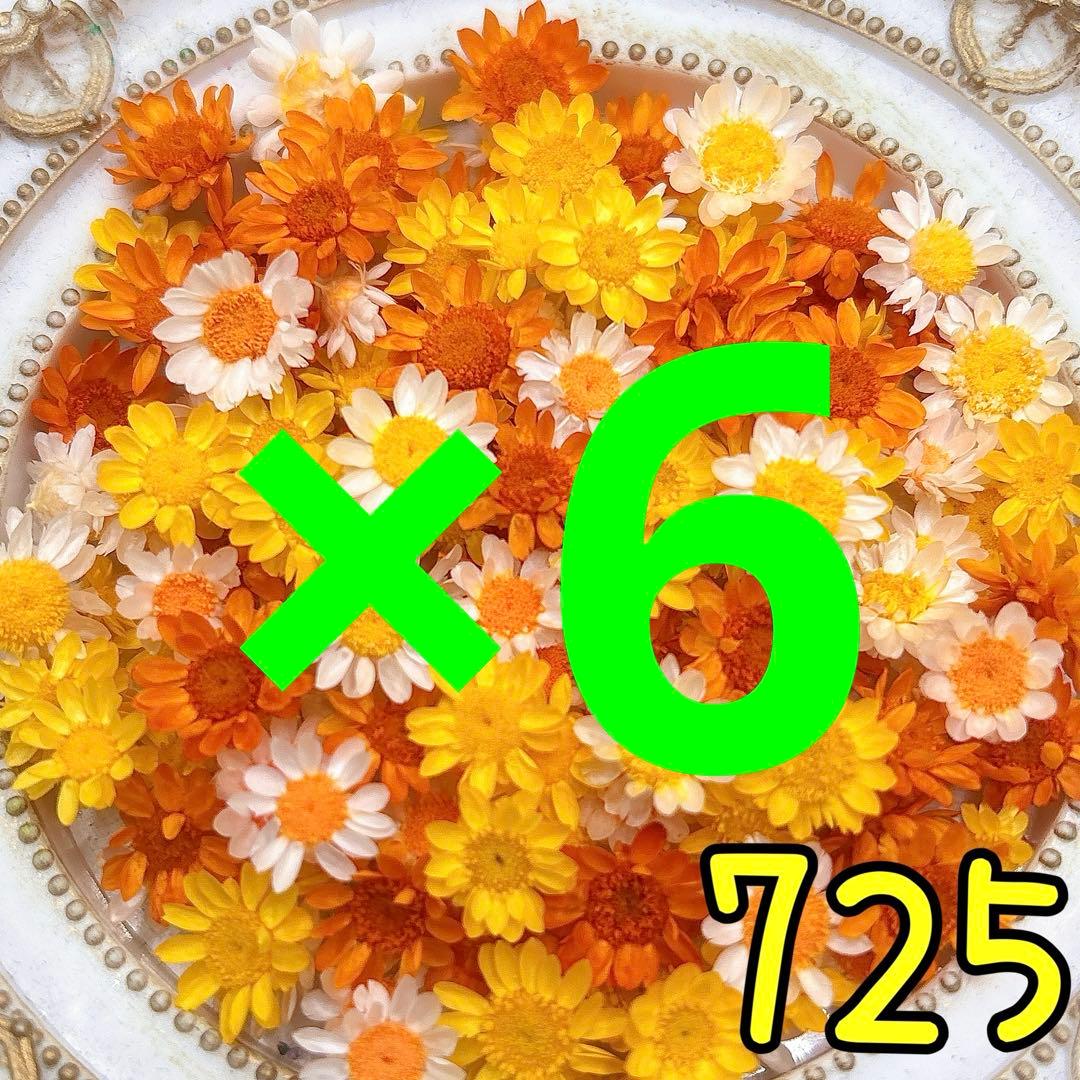 専用ページ✩.*˚