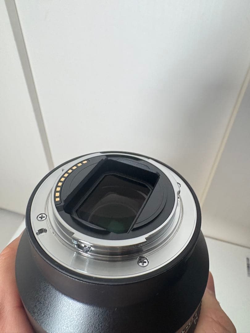 SONY FE 24-105mm F4 G OSS レンズ SEL24105G
