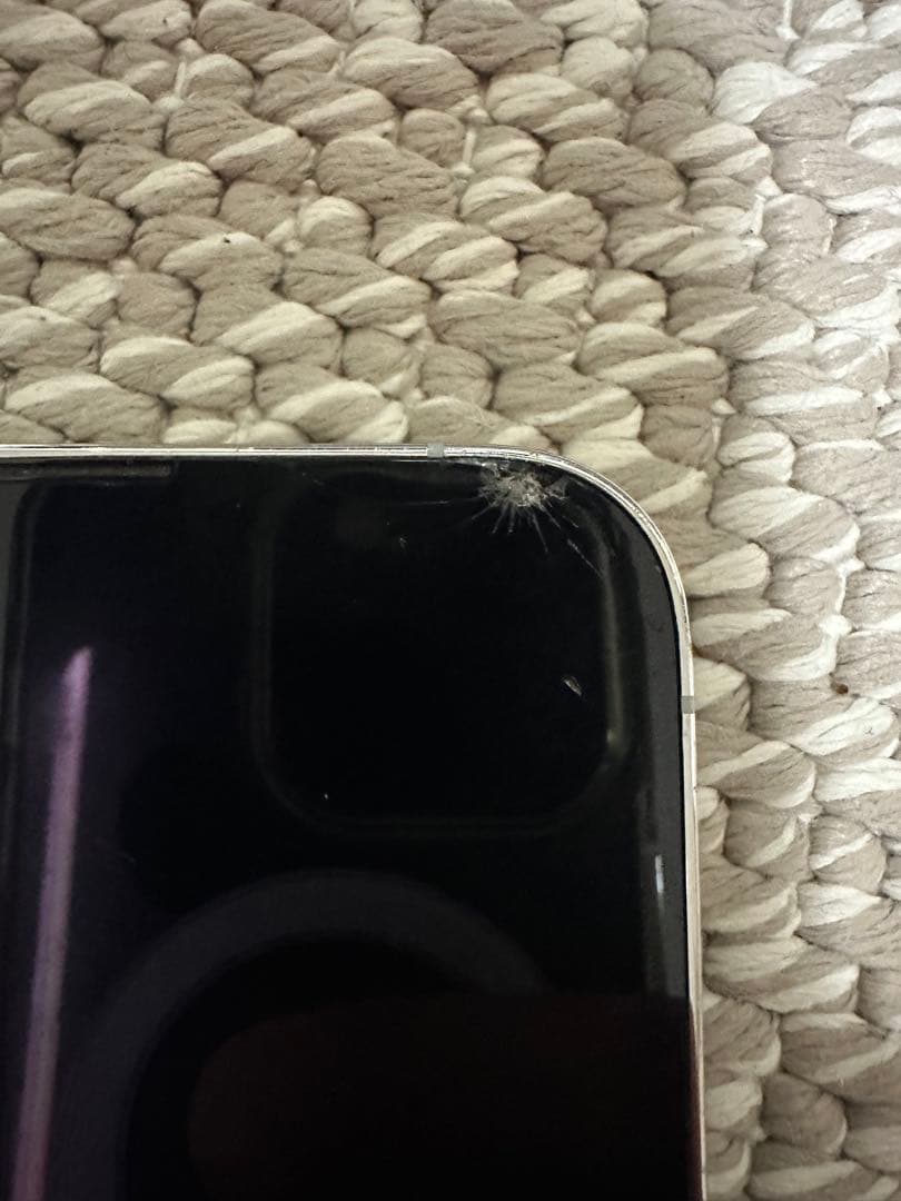 Apple iPhone 13 Pro シルバー 512GB本体　ほぼジャンク