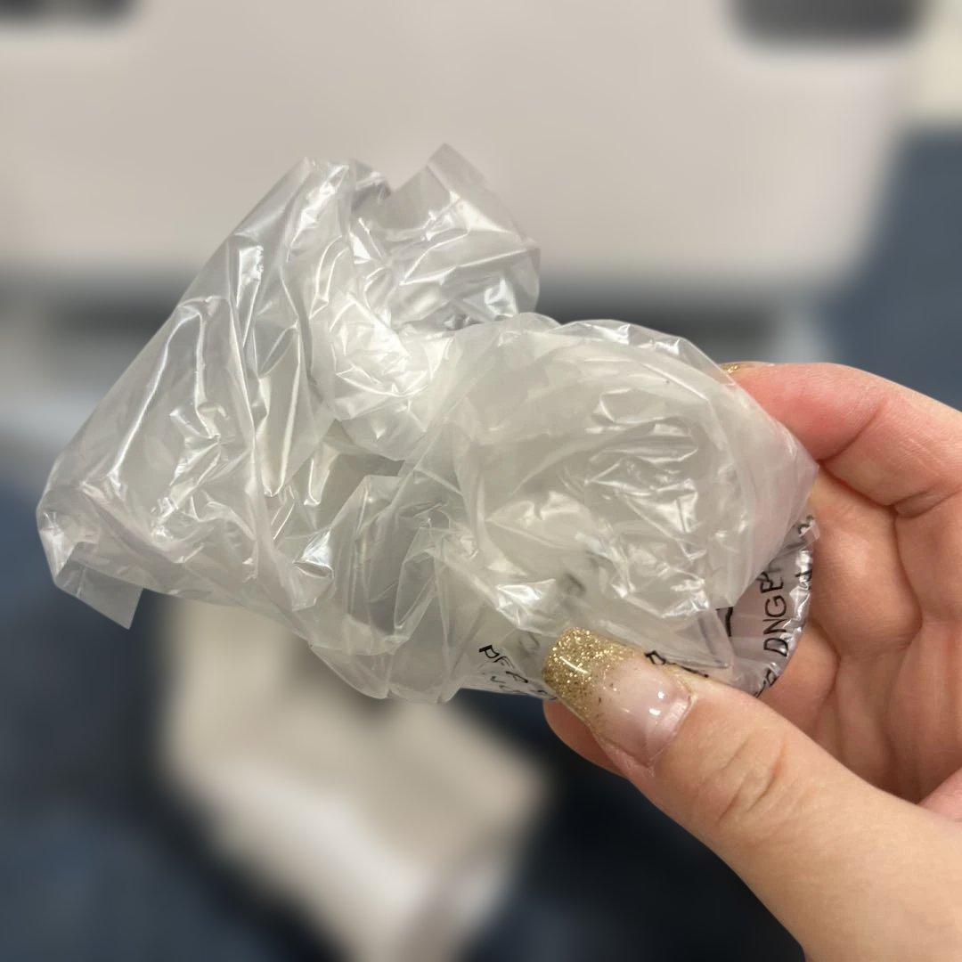 アイリスオーヤマ リンサークリーナー RNS-P10-W