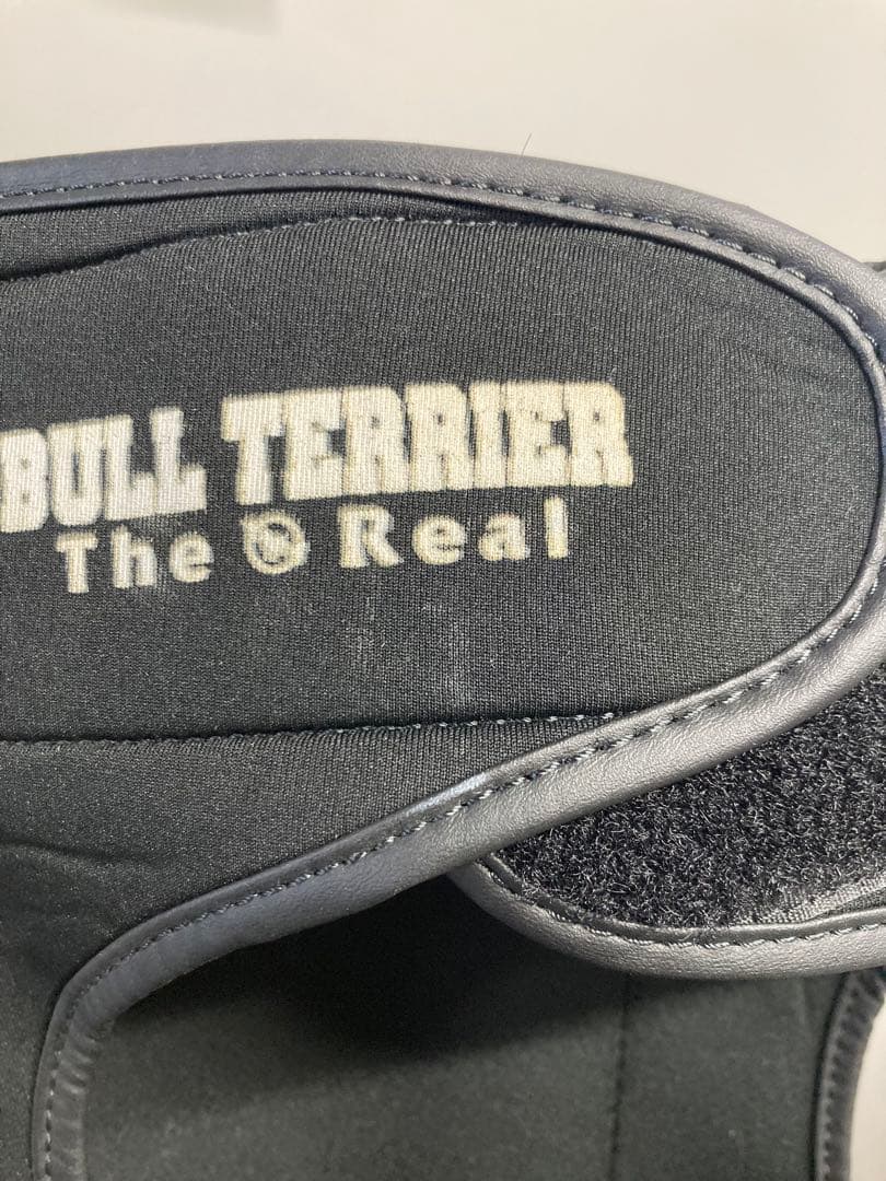 Bull Terrier ブルテリア　ヘッドギア、グローブ、シンガードセット販売