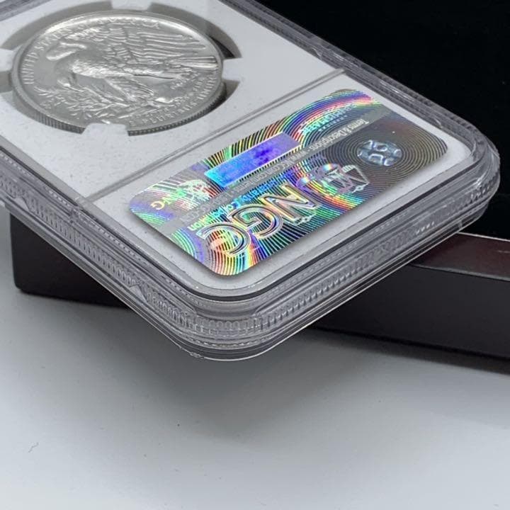 2017　パラジウム イーグル　モダン　NGC MS70ER　　E2