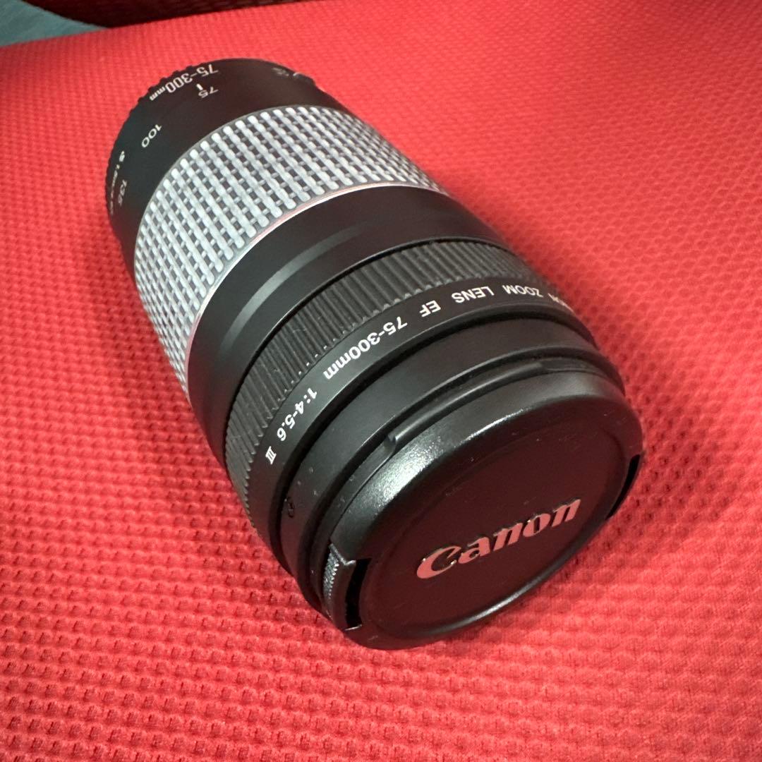 【美品】Canon EF 75-300mm F4-5.6 III 望遠ズーム