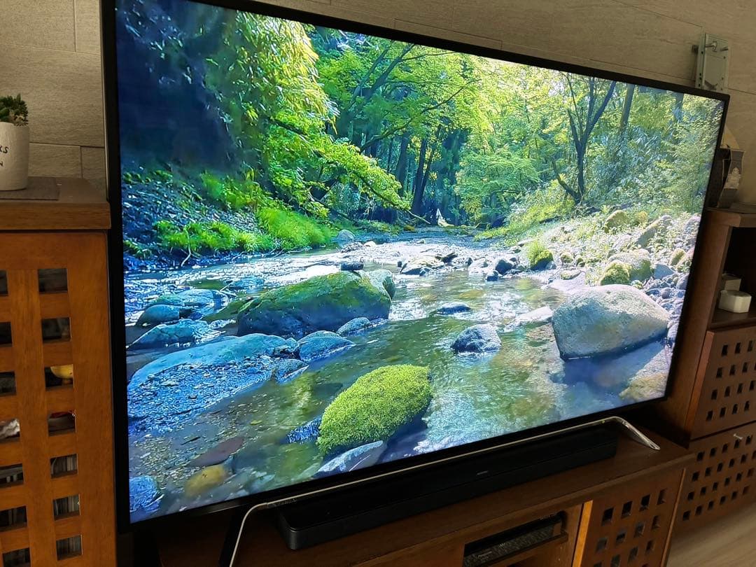 【prinの】REGZA　レグザ　58インチ　58Z20X ＋ 外付HDD