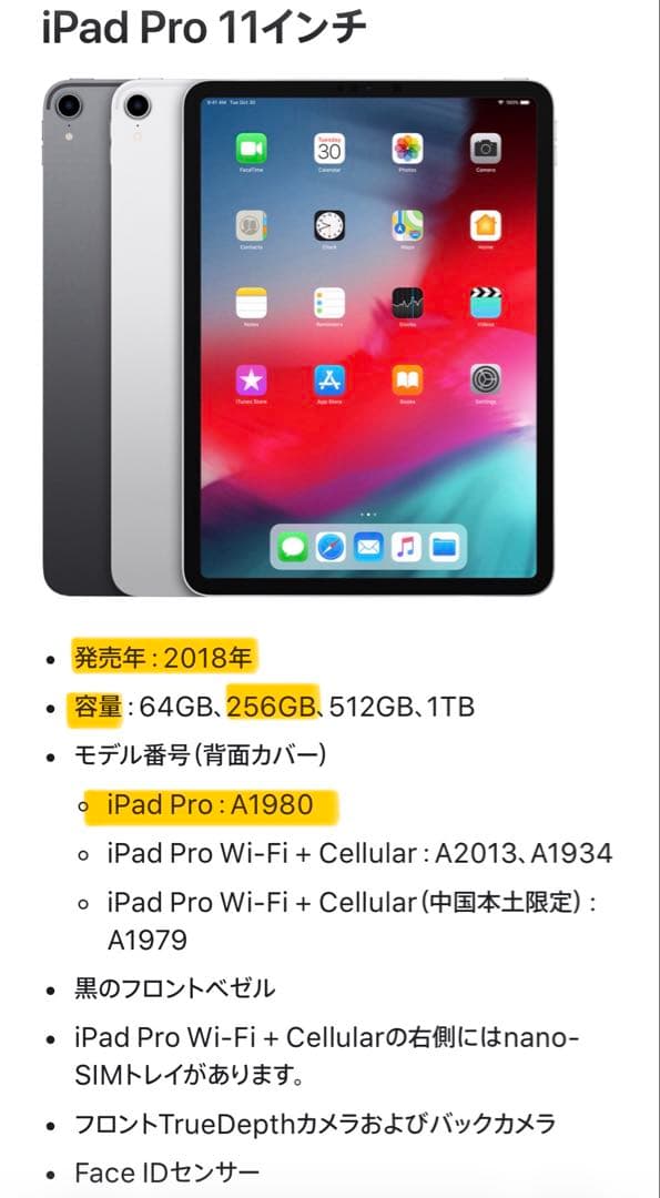 iPad Pro 11インチ 第1世代 256GB Wi-Fi スペースブラック