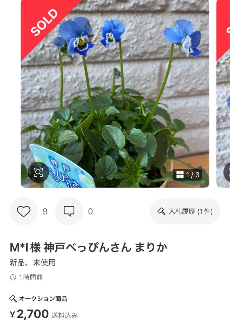 MIYABI メルカリ便 6苗