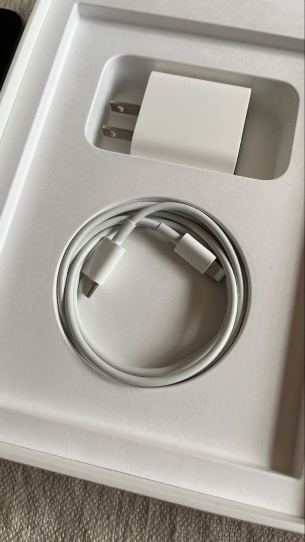 期間限定価格　iPad mini 6 64GB スペースグレー　ペンシル付き