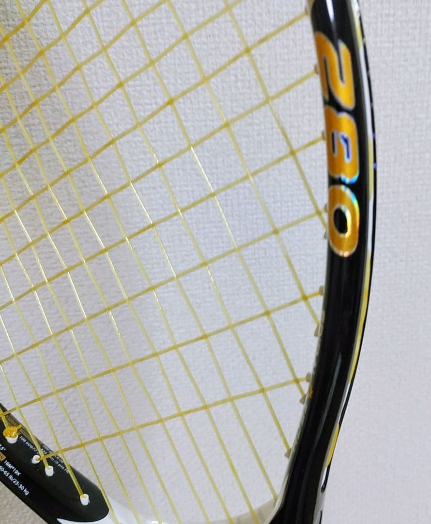 ガット同送！！【唯一無二】未使用【PROKENNEX】DELTA　X10　280