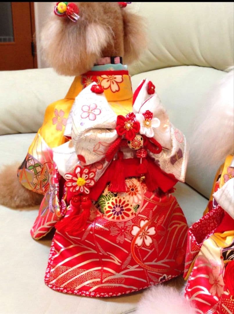 .‎˖٭*花柄水色犬用着物.‎˖٭*　犬服　犬服用お着物