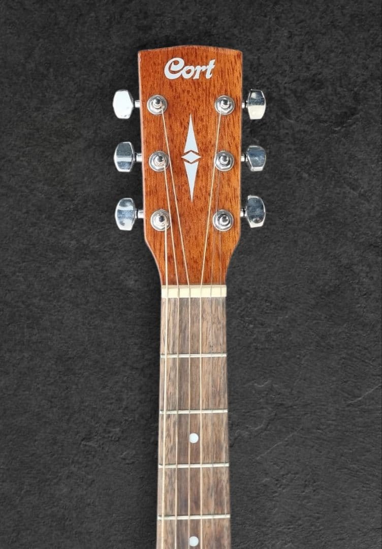 CORT CAG-1F / CAG-1D アコースティックギター Cort