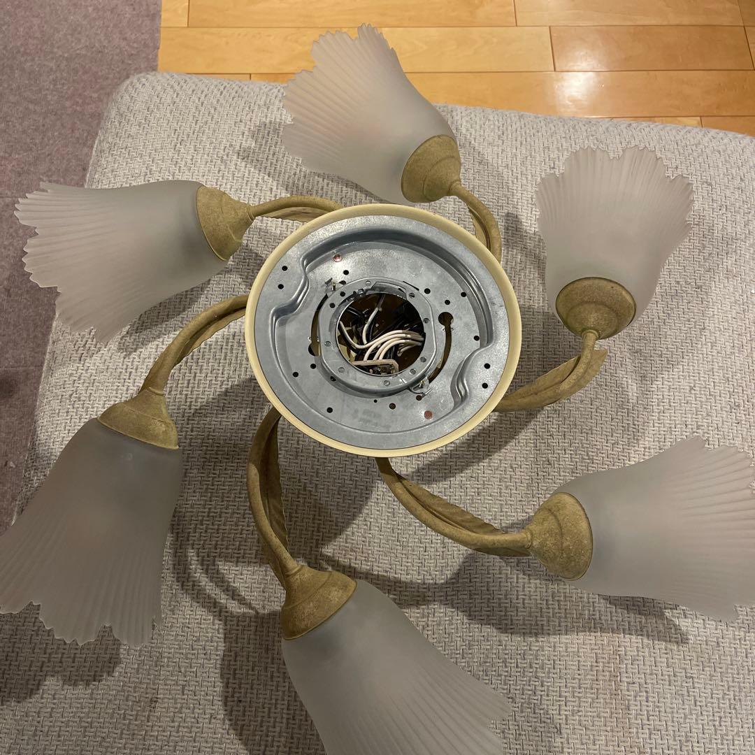 フラワーモチーフ シャンデリア 6灯