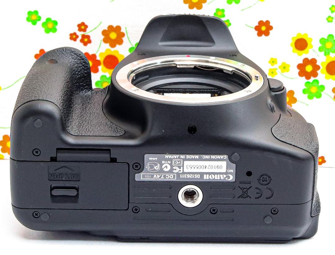 美品 Canon Kiss X5☆スマホ転送！☆自撮り可能☆人気の一眼レフ♪