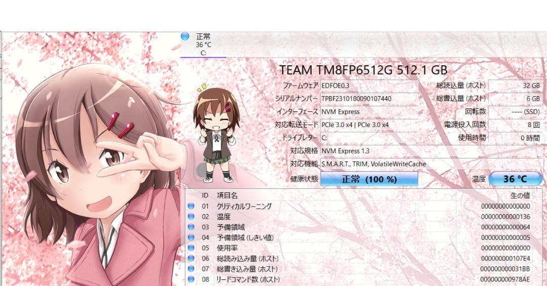 Windowsノート本体 ThinkPad X390 /Core i5 /DC pro/AutoCAD