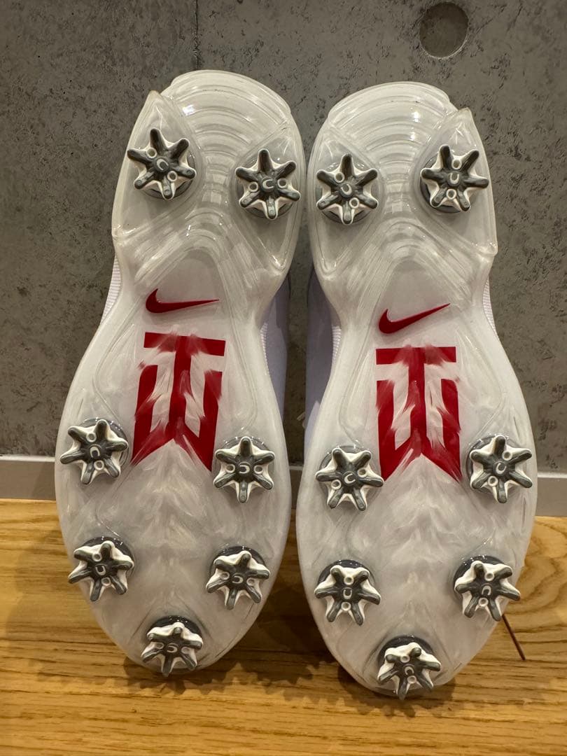 シューズ(男性用) NIKE AIR ZOOM TW20